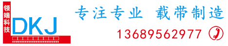 領(lǐng)端科技